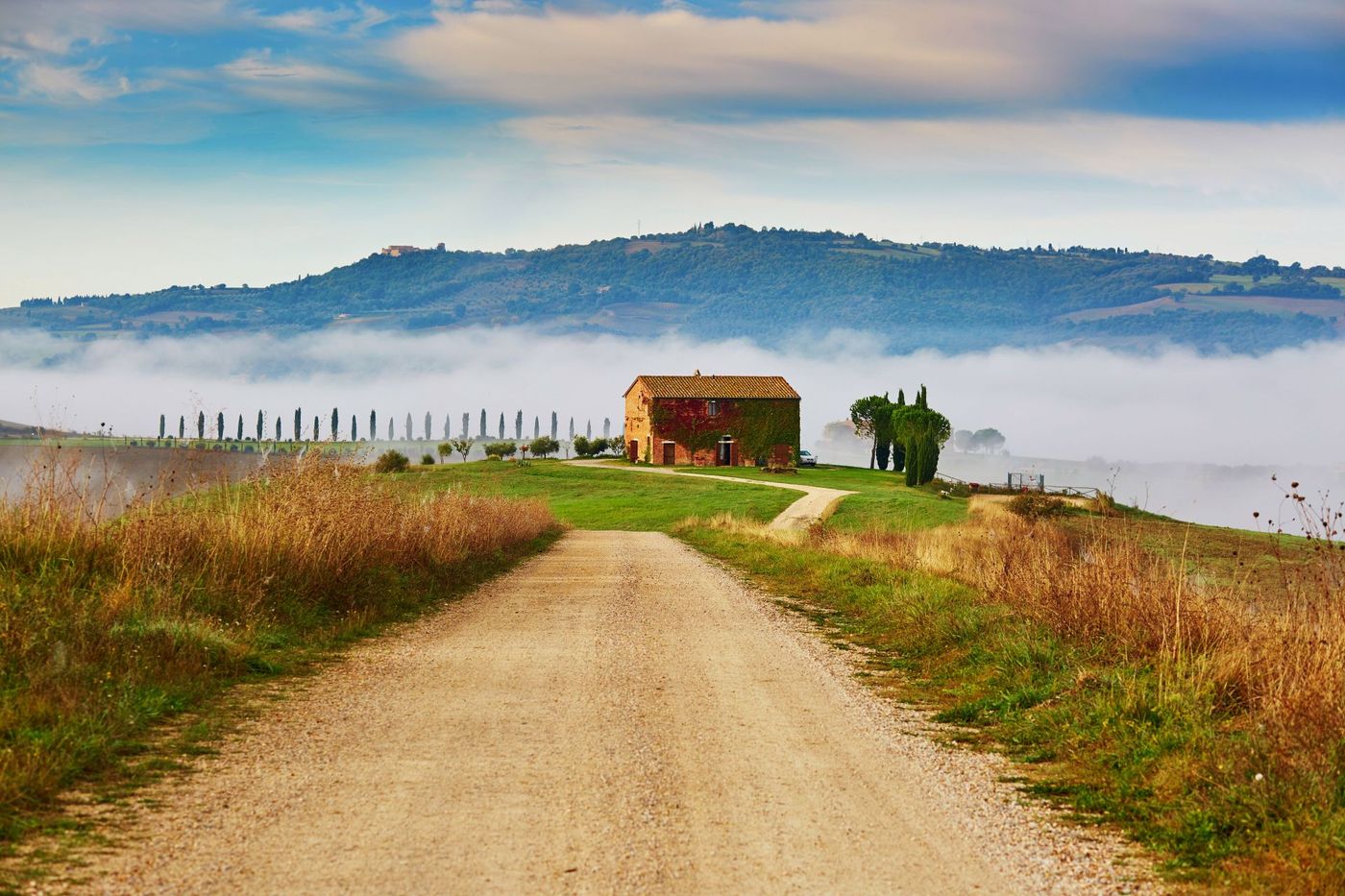 Landscape of San Quirico D'Orcia.jpg